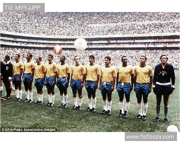 足球后腰14号球星身份揭秘 他们是中场指挥官的象征